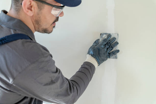 Best Wall Texturing and Painting  in Vernon Valley, NJ